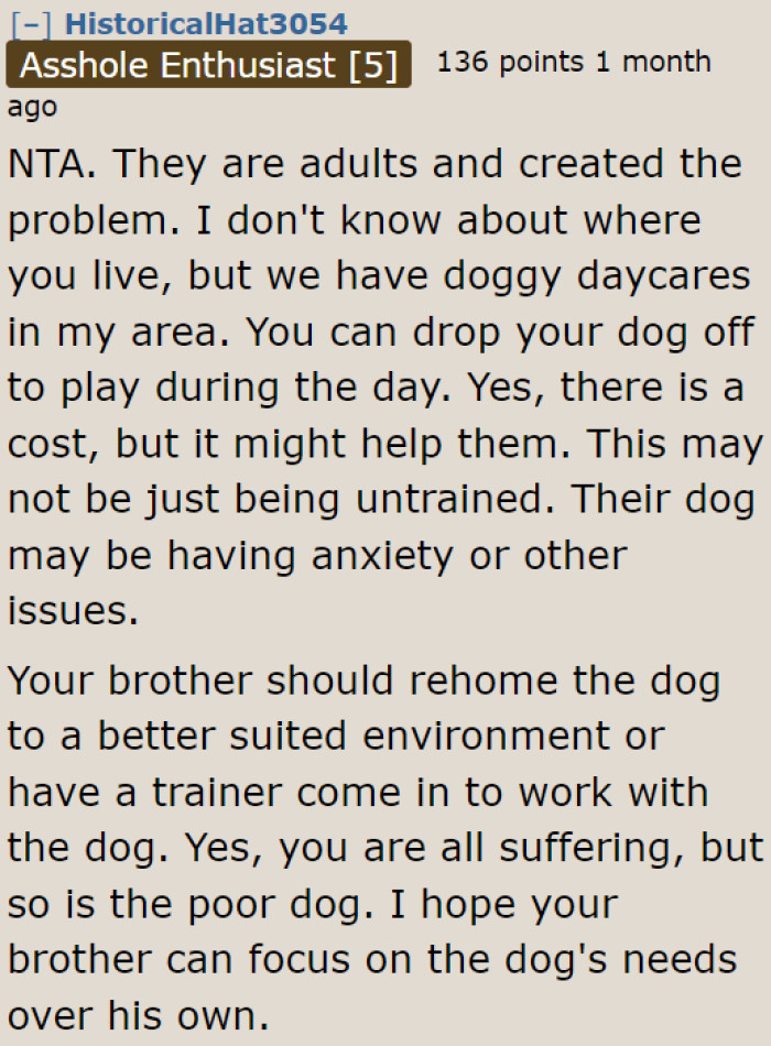 The older brother needs to realize that he created this problem. After all, he didn't train his dog properly.