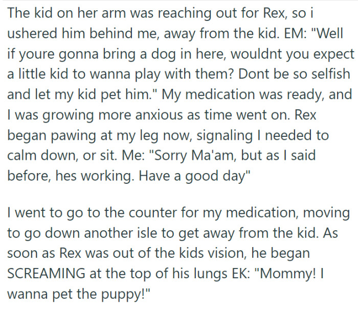 Even though OP told her that it is a service dog and currently working, she kept insisting