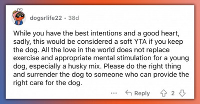 Woman With Disabilities Asks If She Should Keep Her Dog Or If Rehoming It Would Be Kinder