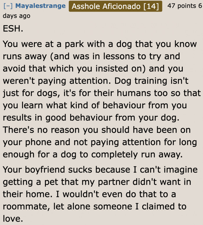 What dog training should be