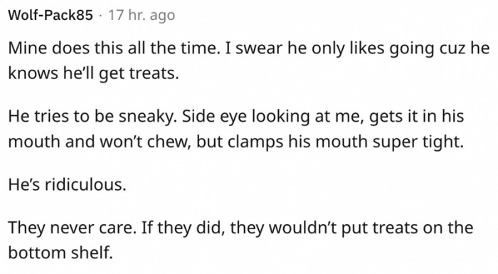 Mine does this all the time, and he goes only because he'll get treats