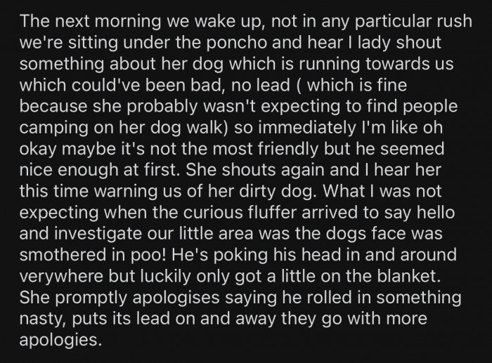 The next morning, the couple ended up having the weirdest interaction of their life.