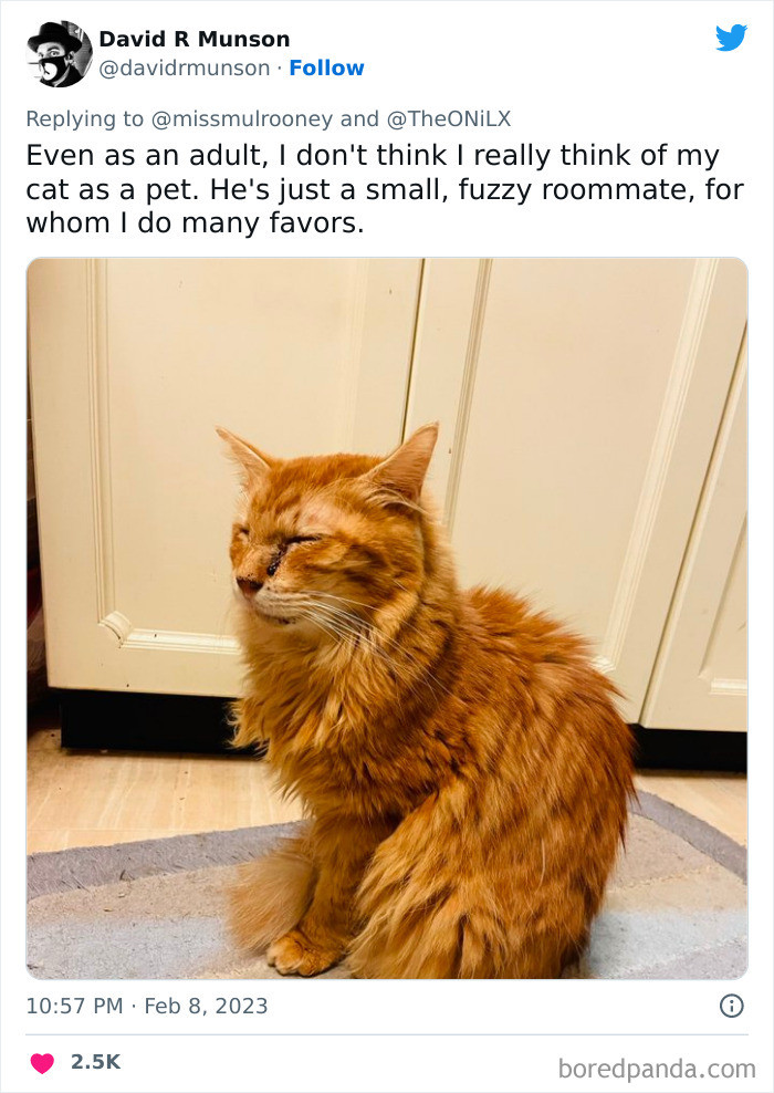 4. A small, fuzzy roommate