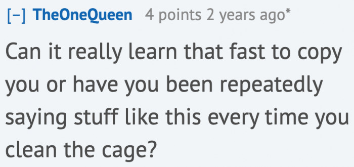 A Redditor finds it unbelievable that the bird learned this fast.