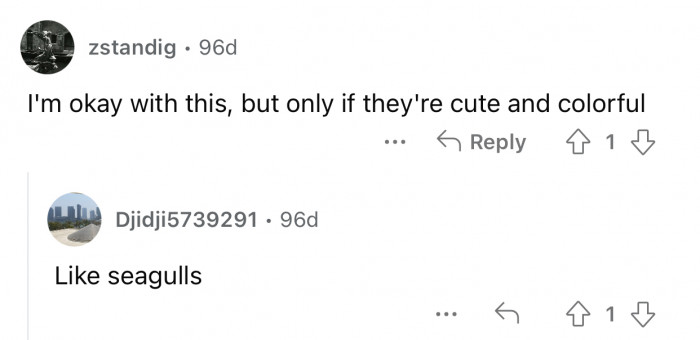 It's okay as long as they're aesthetically pleasing.