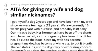 Pregnant Wife Angry At Redditor For Giving Her A Nickname Similar To Their Whiny Dog’s Nickname