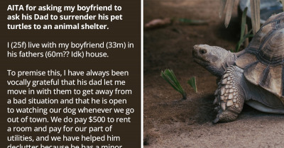 Woman Wonders How She Can Tell Her BF's Father That He Should Not Be Giving Hotdogs To His 7 Turtles