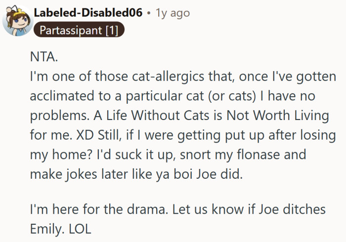 “Snort my Flonase and move on” might just be the new motto for dealing with both cats and drama.