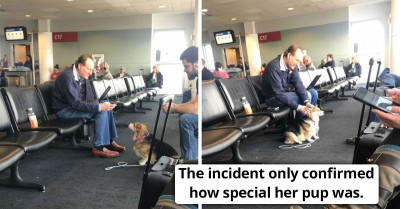 Emotional Moment When Dog Comforts Stranger In Airport Who Just Lost His Pet