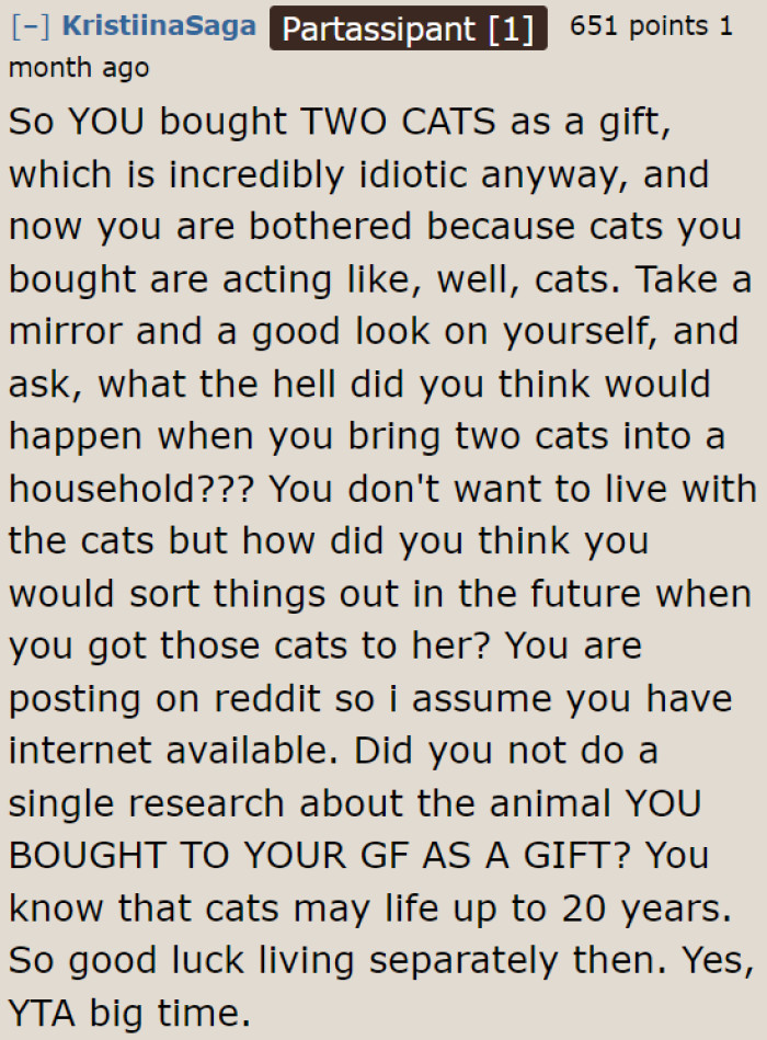 The AITA community criticized the OP for not considering what life with cats would look like before actually getting not only one, but two.