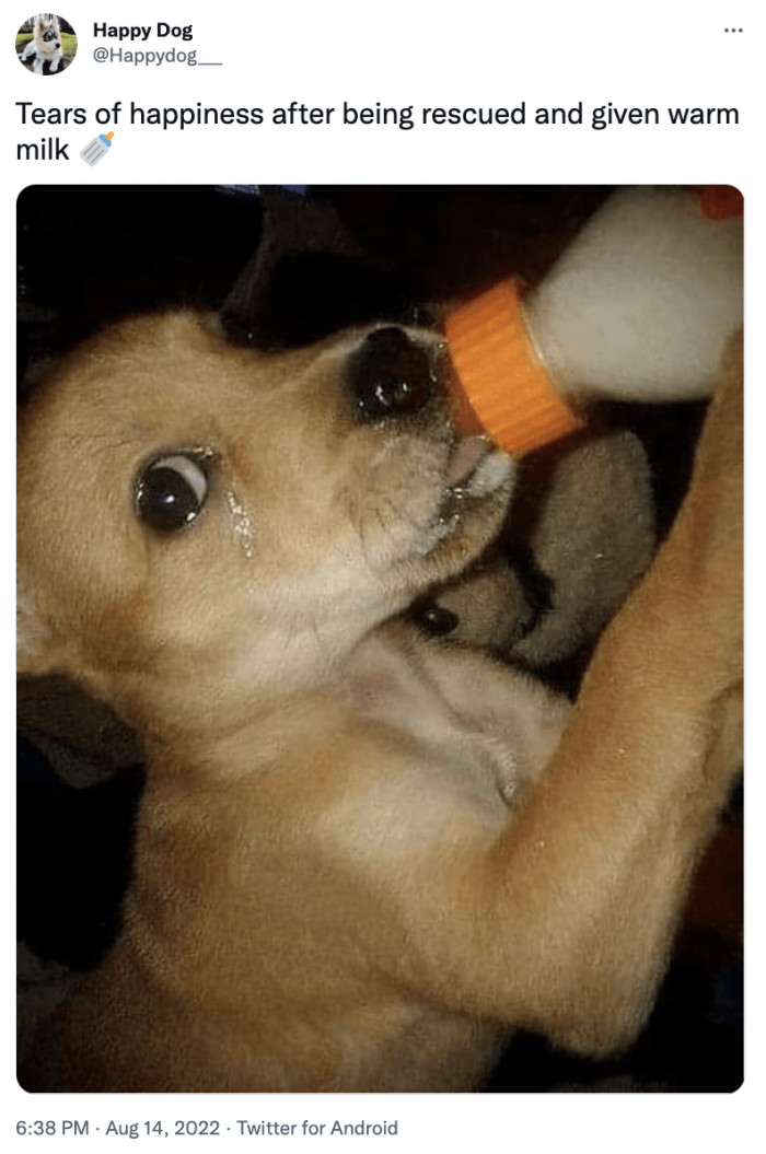 1. The tears of joy are so touching