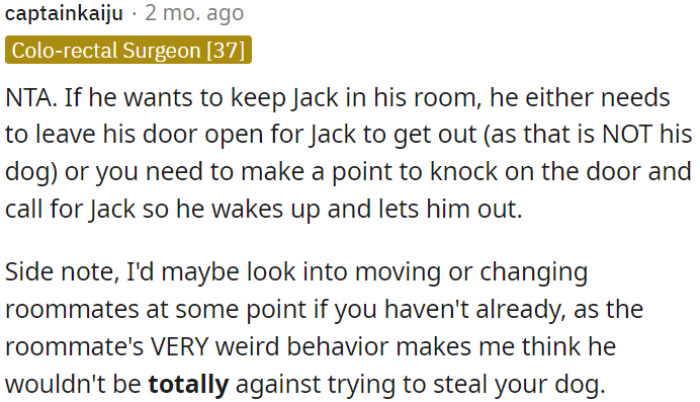 Considering the roommate's odd behavior, OP needs to contemplate changing roommates to prevent any potential dog theft.