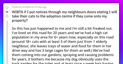 Homeowner Plans To Put Up A Sign, Warning Neighbors That Their Trespassing Cats Will Be Taken To A Shelter