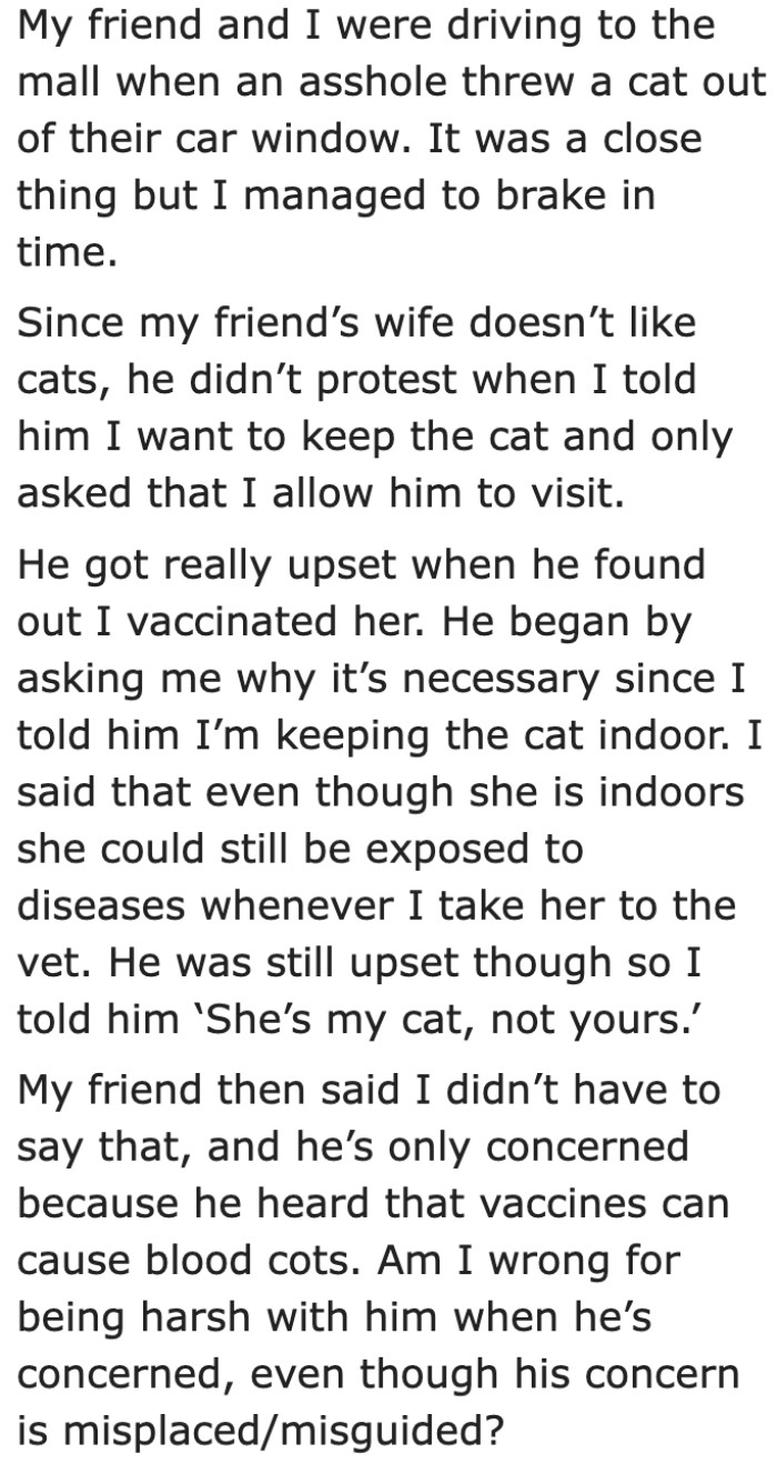 The poor cat was thrown out the car window, so they rescued it. The OP decided to adopt it.