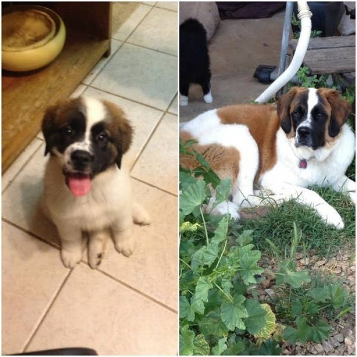 26. Look at how big Lucy has grown!