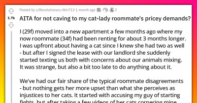 Newly Minted Roommates Fight Over Everything That Involves Their Cats and Point Fingers as to Who Should Compromise