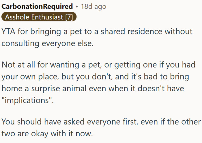 It's bad to bring home a surprise animal