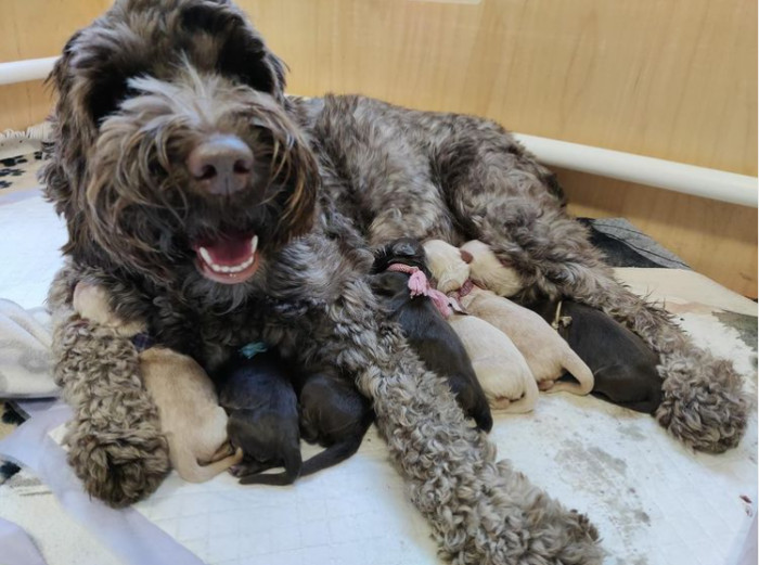 22. That sweet happy face