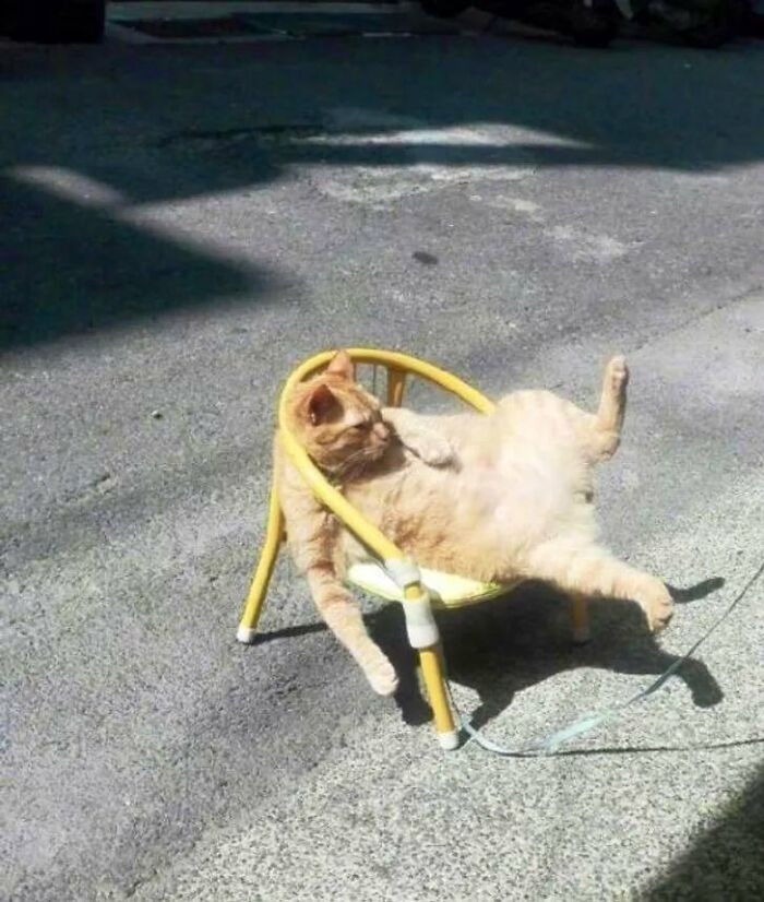 1. Now, this is the sort of chair I want to relax on