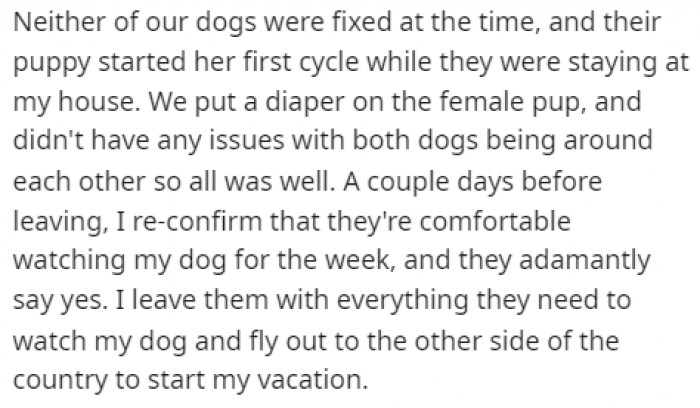 Neither of the dogs was fixed, but the female pup had a diaper, so they thought there wouldn't be any issues.