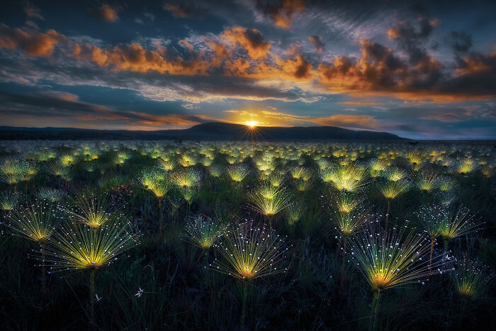 Landscapes: Winner - 