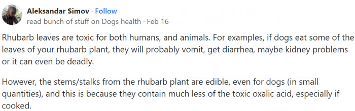 Table listing bad foods for dogs, including meat with nitrates
