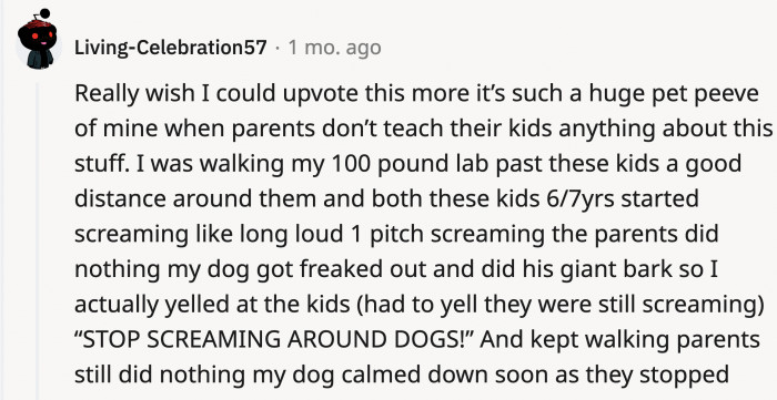 Teaching kids about respecting others' pets doesn't only apply to them petting the animals.