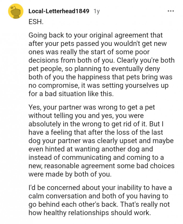 Your partner was wrong to get a pet...