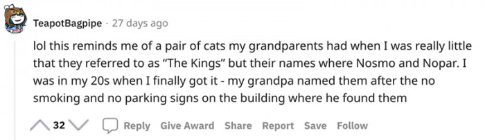 A pair of cats my grandfather had