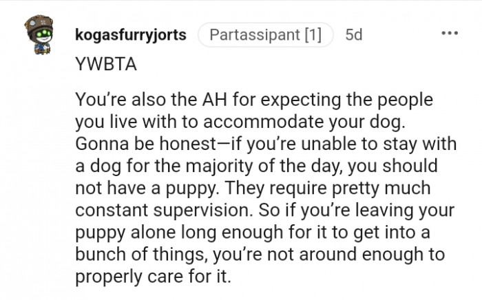 3. Dogs require constant supervision