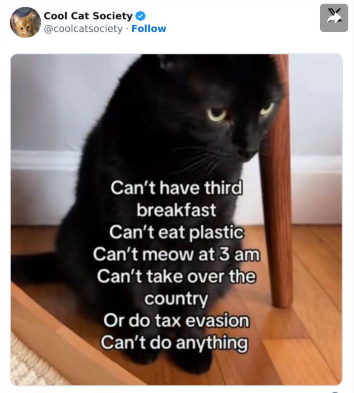 6. “Can’t do anything around here!”