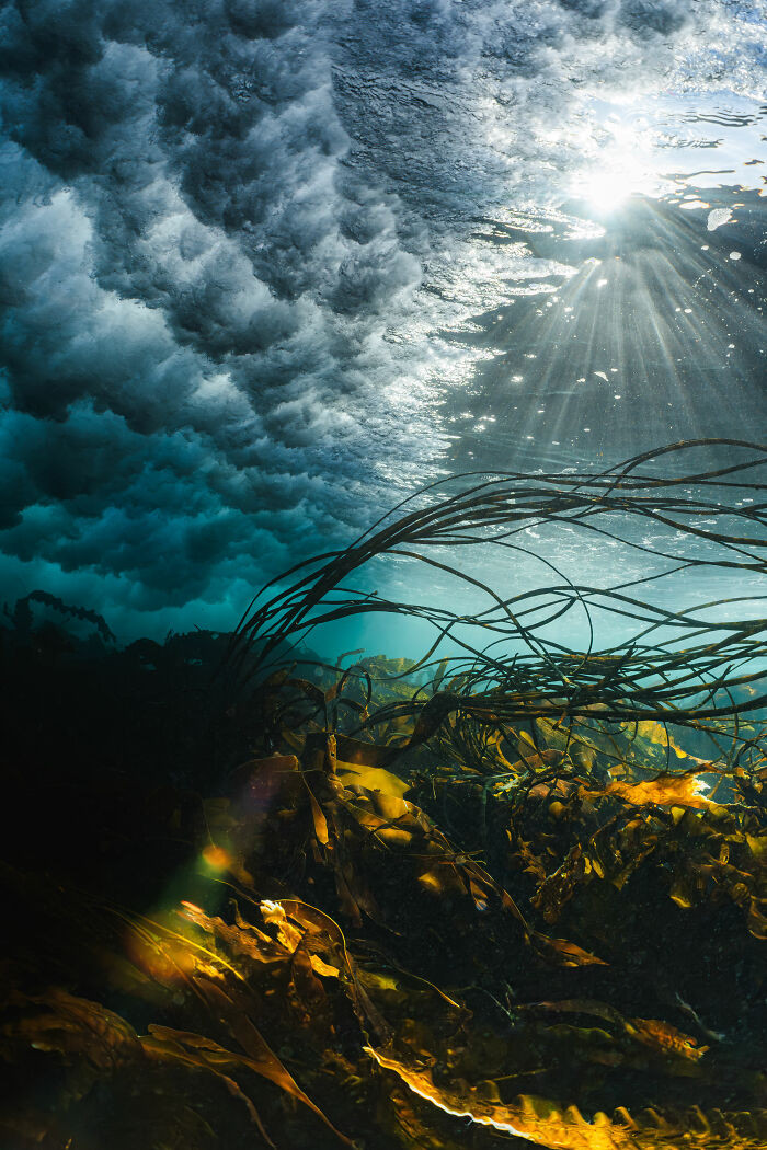 British Waters Wide Angle, 3rd Place: Hold On Tight! By Billy Arthur