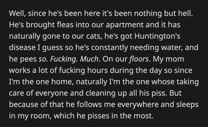 OP is getting exhausted from being the sole caretaker of an elderly, ailing dog who needs a lot of supervision.