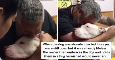 Heartbreaking Last Moments Between A Dying 14-Year-Old Dog And His "Tough" Owner In Tears Remind Us To Cherish Every Moment We Have With Our Pets