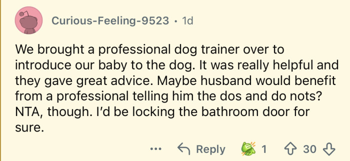 A professional dog trainer might really help.