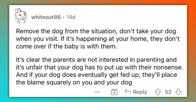 Toddler Hits Dog But Parents Don’t Discipline, Who’s In The Wrong?