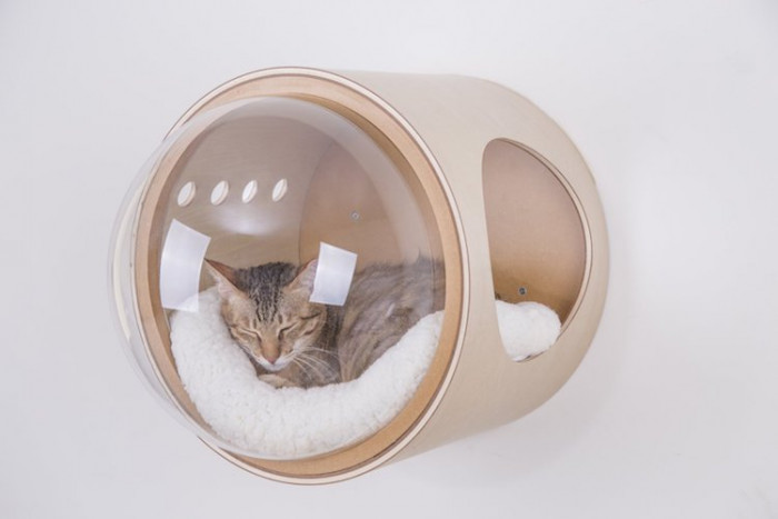 Just like this, and the cat is certainly having a good space snooze