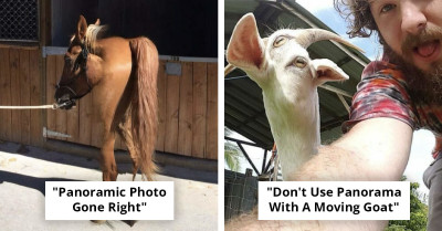 The Funniest Panorama Fails Caught on Camera