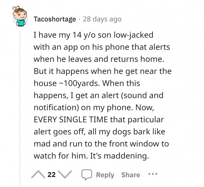 19. "Now, every single time that particular alert goes off, all my dogs bark like mad and run to the front window to watch for him."