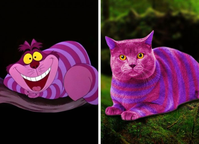 13. The Chesire Cat may sometimes be unnecessarily creepy yet eccentric, but we can't deny the charm that it would have if it were a real-life feline we could just get to see in this world.