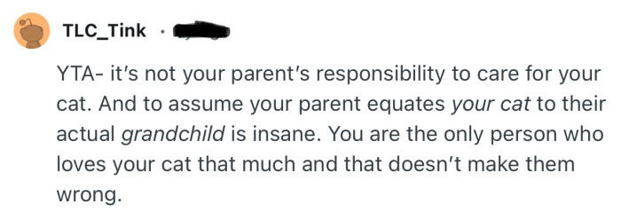 “YTA- it’s not your parent’s responsibility to care for your cat.”