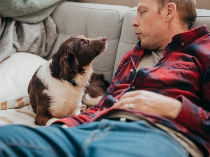 The OP can always consider rehoming the dog if they can't train it properly.