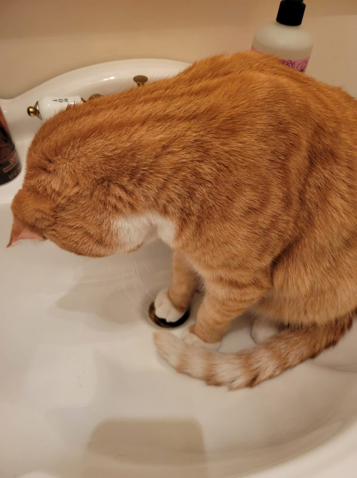 9. "The moment I realized why the sink was closed sometimes when I would wash my hands."