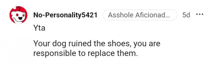 5. The OP is expected to replace the shoes