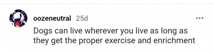 Dogs can live anywhere as long as...