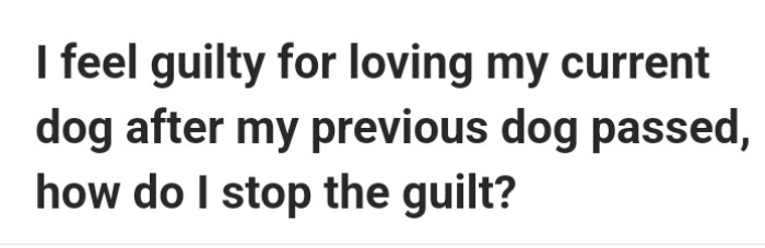 The grieving dog owner writes down their short story