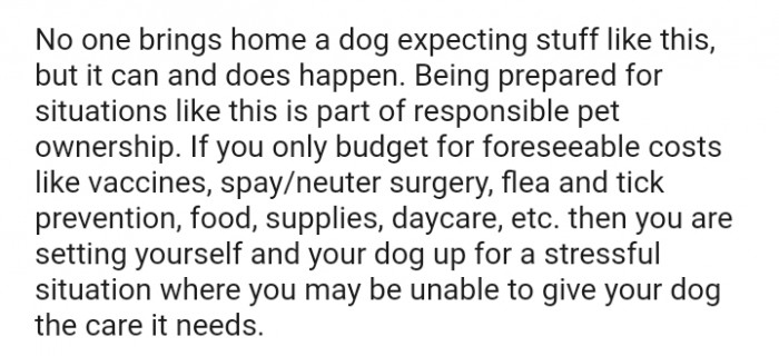 Being unable to give the dog the required care