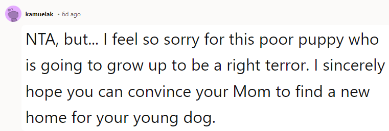 NTA, But... I Feel So Sorry for This Poor Puppy Who Is Going to Grow Up to Be a Right Terror.