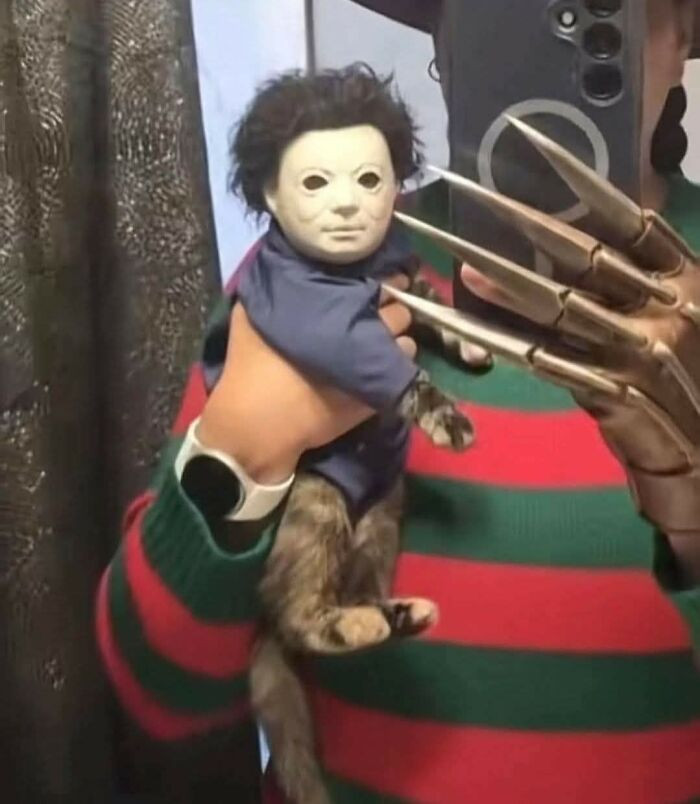 22. When spooky season hits and your cat gets way too into character.