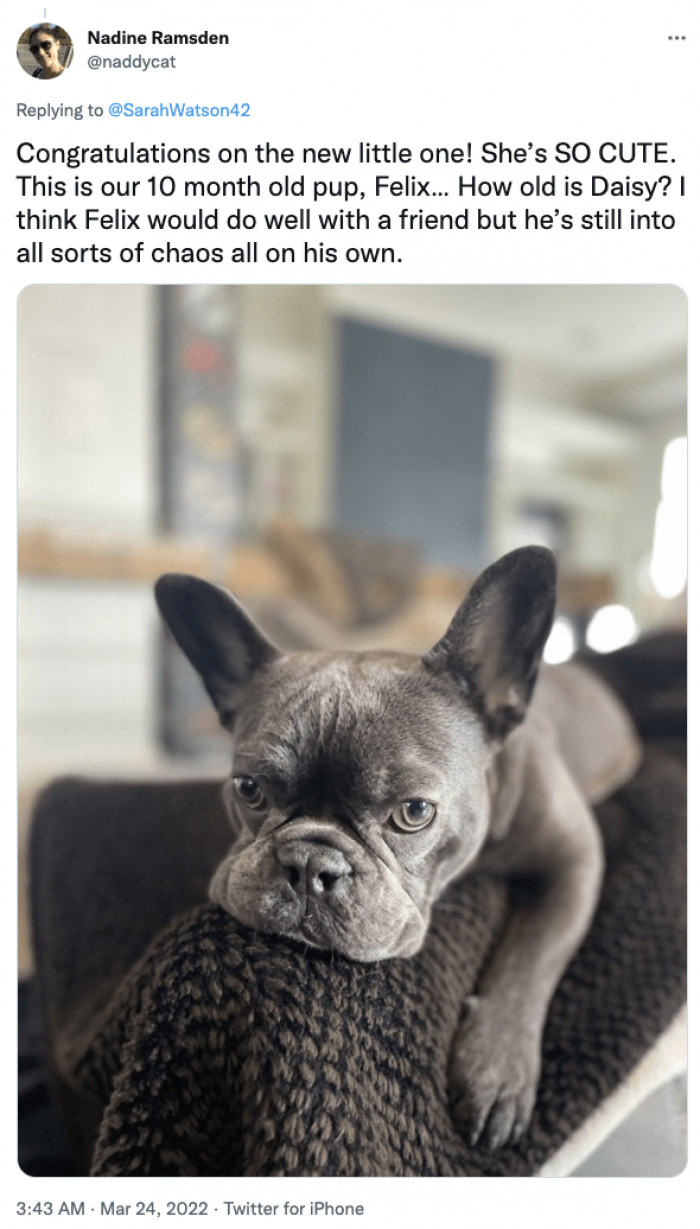 11. This furbaby knows the best chilling spot